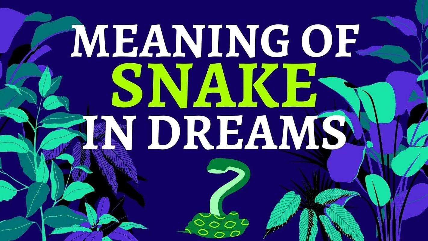 The Meaning Of Dreams About Snakes | UK Matttress Guide