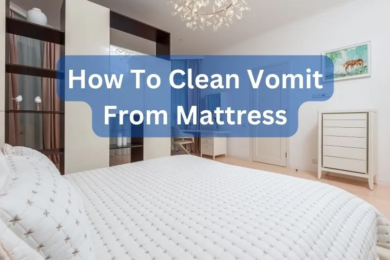 How-To-Clean-Vomit-From-Mattress